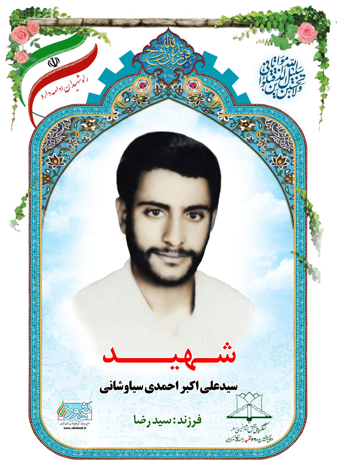 سید علی اکبر احمدی سیاوشانی