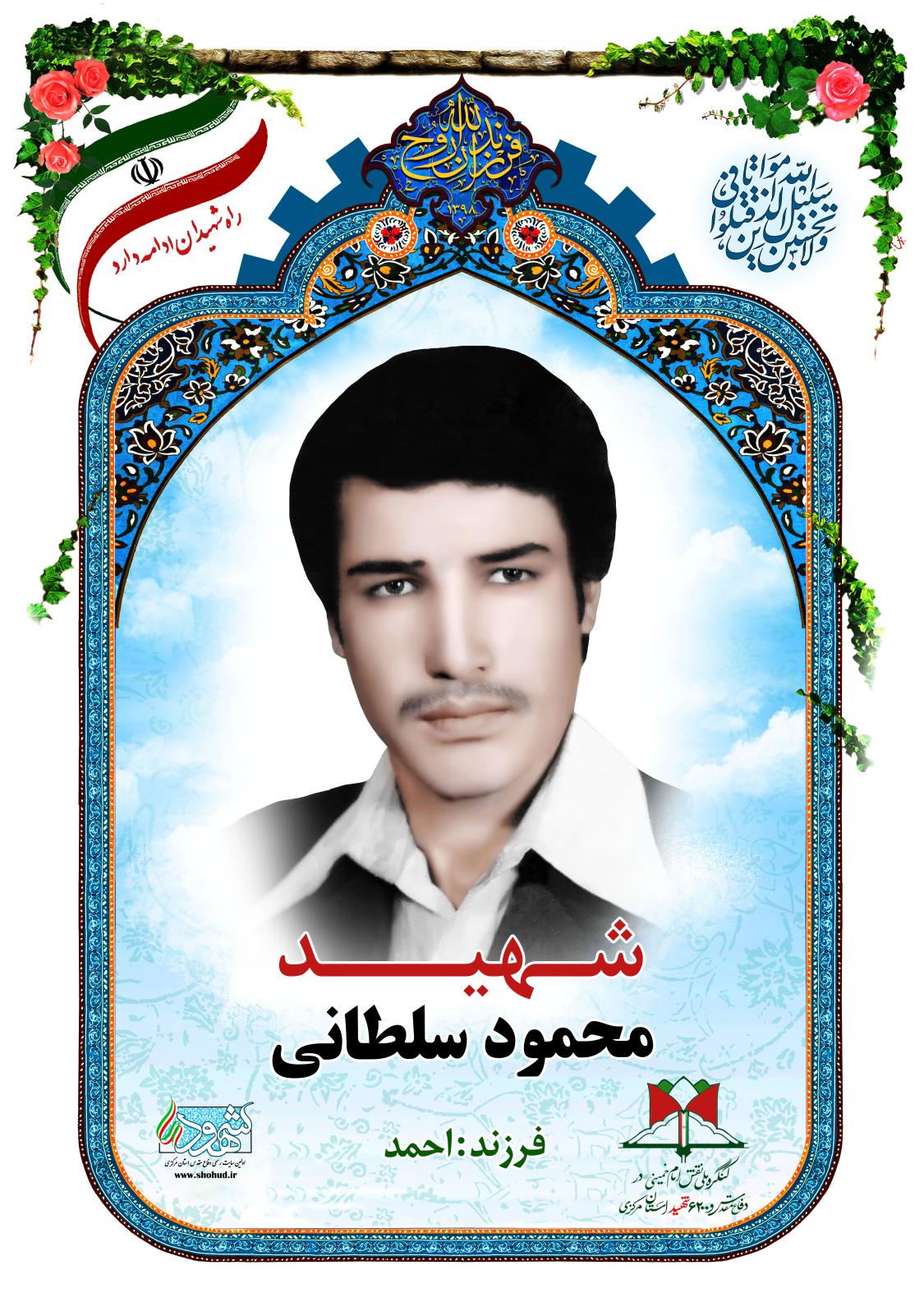 محمود سلطانی