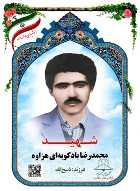 محمدرضا بادکوبه ای هزاوه