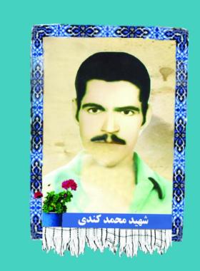 محمد کندی داینی