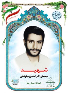 سید علی اکبر احمدی سیاوشانی