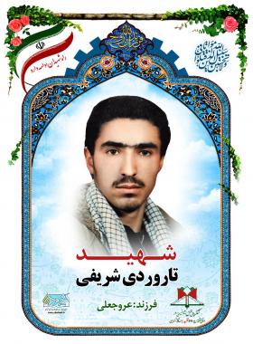 تاروردی شریفی