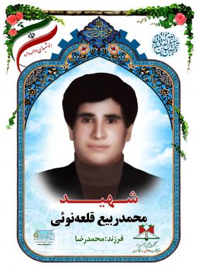 محمدربیع قلعه نویی