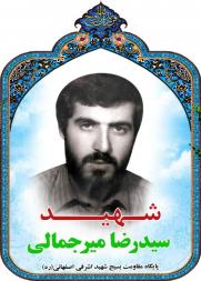 سید رضا میرجمالی