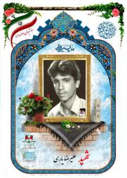 علیرضا یاری