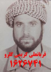 قربانعلی کریمی گلرو