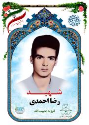 رضا احمدی