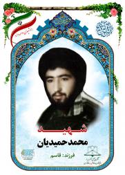 محمد حمیدیان