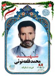 محمد قلعه نویی