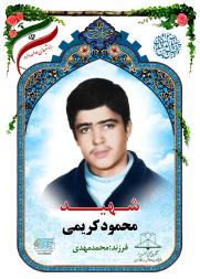محمود کریمی