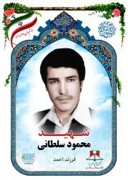 محمود سلطانی