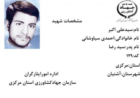 سید علی اکبر احمدی سیاوشانی