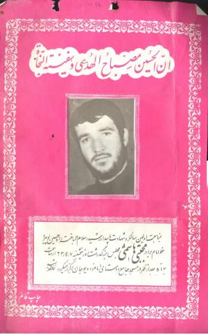 سید مجتبی هاشمی