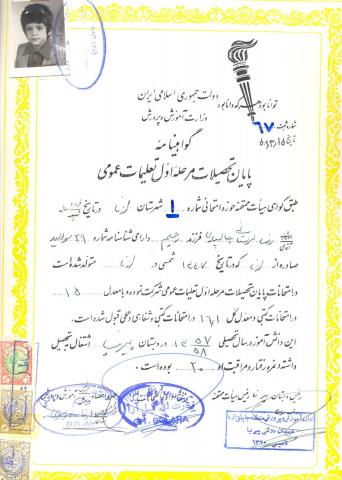 رضا لرستانی چالسباری