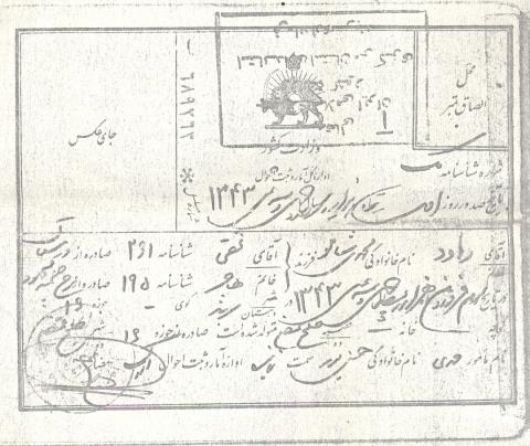 داود محمدی شاملو