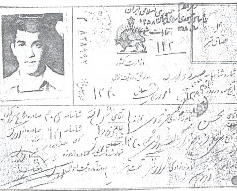 محسن فرهادی