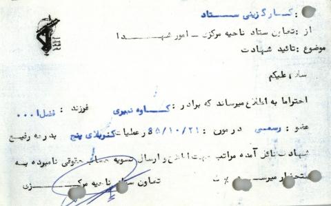 کاوه نبیری