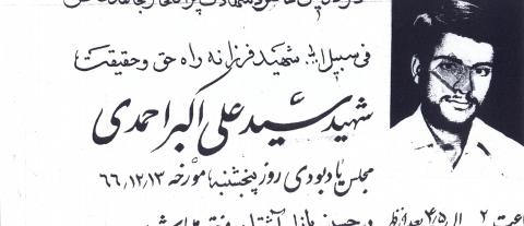 سید علی اکبر احمدی سیاوشانی