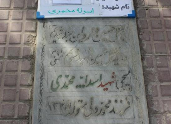 اسدالله محمدی