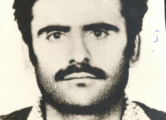 داود محمدی شاملو