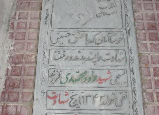 داود محمدی شاملو