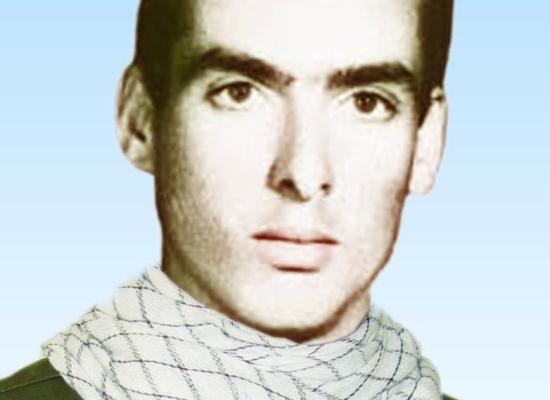 رضا احمدی