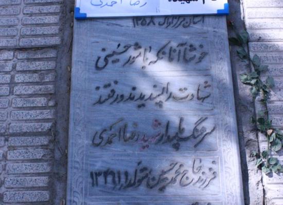 رضا احمدی