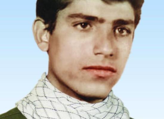 رضا همایونی نوری