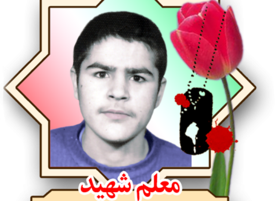 رضا هوشیار