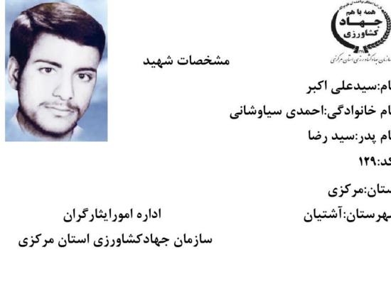 سید علی اکبر احمدی سیاوشانی