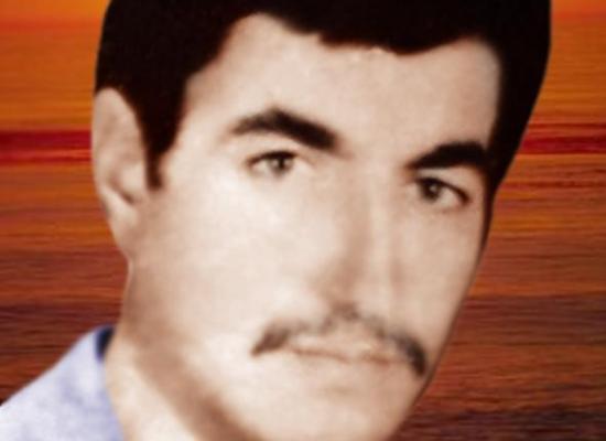 محمد محمدی