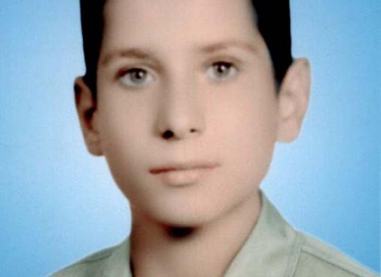 حمید محمودی