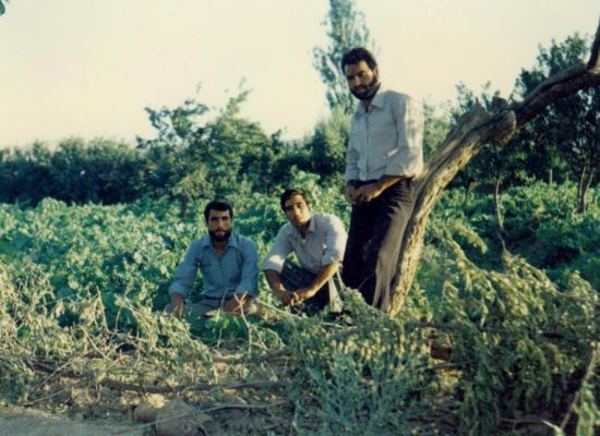حسین برکوک تبار
