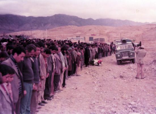  داود یعقوبی فر