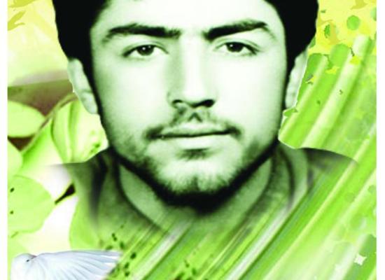  داود یعقوبی فر