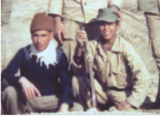 سیاوش حسنی