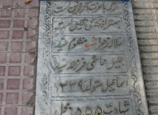 سید جلیل هاشمی