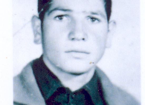سید ضیاء هاشمی