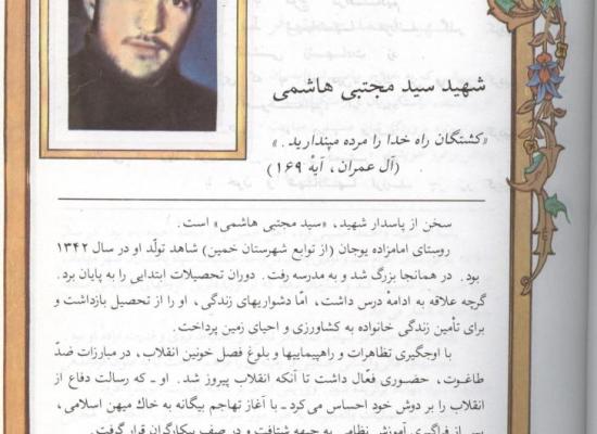سید مجتبی هاشمی