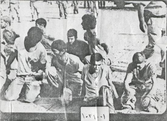 محمود جعفری
