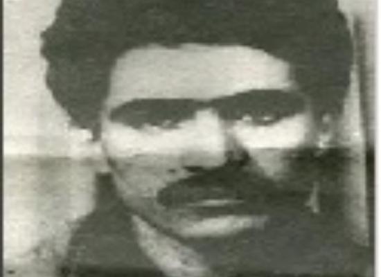 محمدرضا بادکوبه ای هزاوه