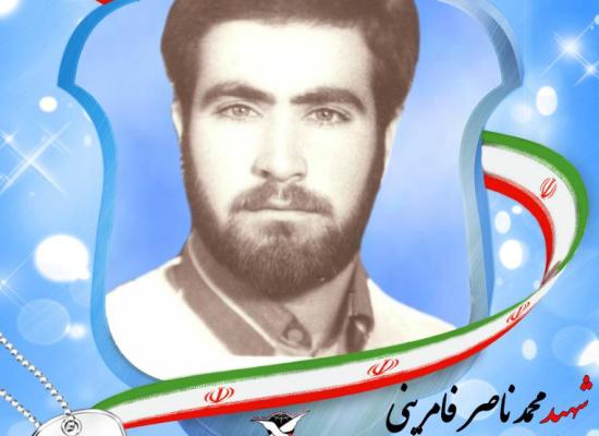 محمدناصر فامرینی بزچلویی