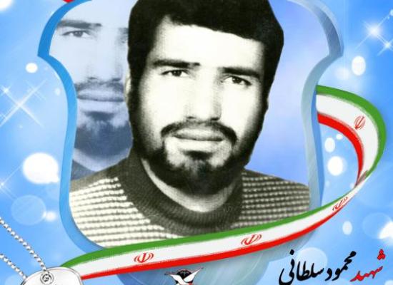 محمود سلطانی
