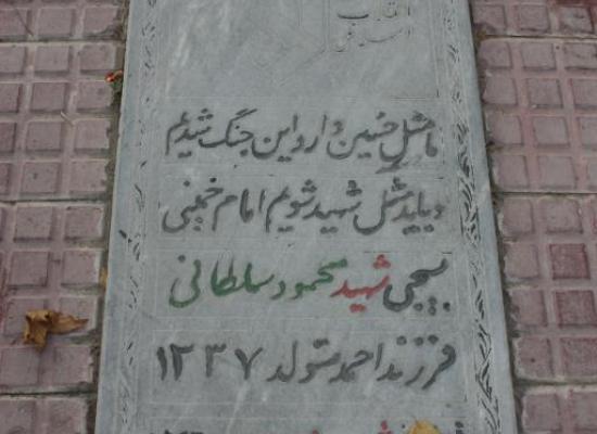 محمود سلطانی