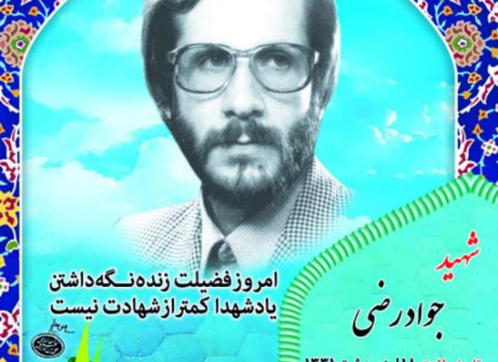 جواد رضی (فیجانی)