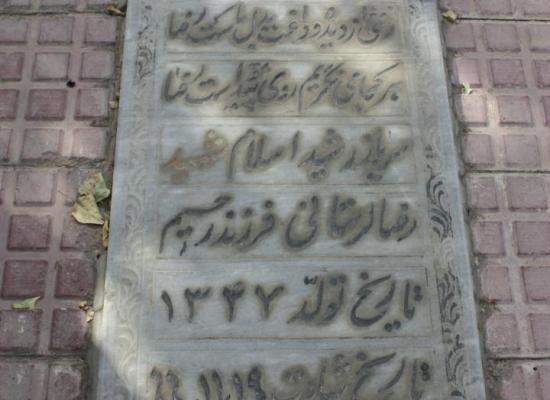 رضا لرستانی چالسباری