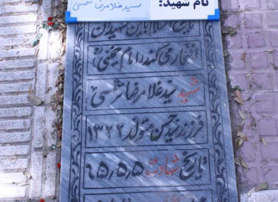 سید غلامرضا شمسی