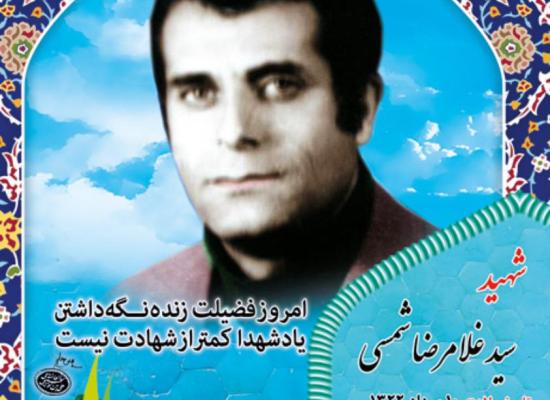 سید غلامرضا شمسی