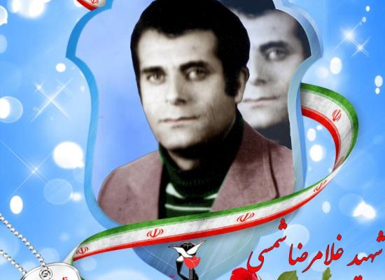 سید غلامرضا شمسی