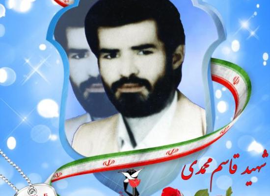 قاسم محمدی